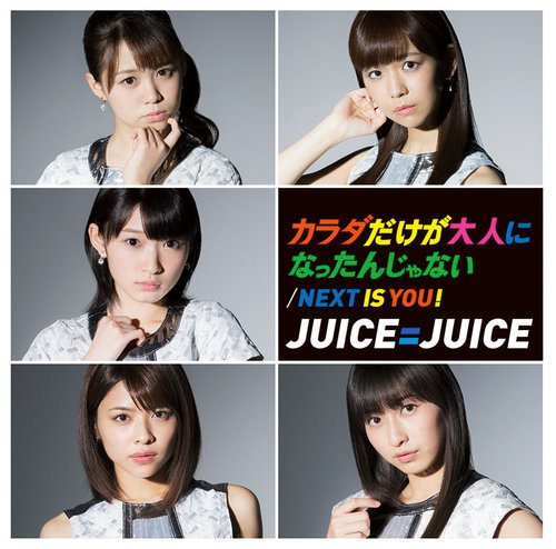 Next is you ! / Karada dake ga Otona ni Nattanjanai (limitée Type D)