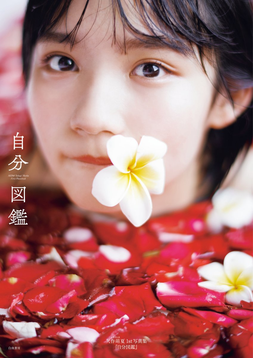 Jibun zukan (Edition)
