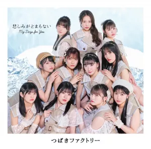 My Days for You / Kanashimi ga Tomaranai (Limited B)
