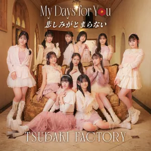 My Days for You / Kanashimi ga Tomaranai (SP)