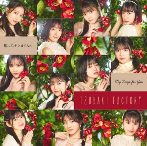 My Days for You / Kanashimi ga Tomaranai (Limited C)