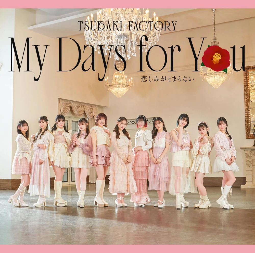 My Days for You / Kanashimi ga Tomaranai (Type A)