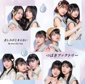 My Days for You / Kanashimi ga Tomaranai (Type B)